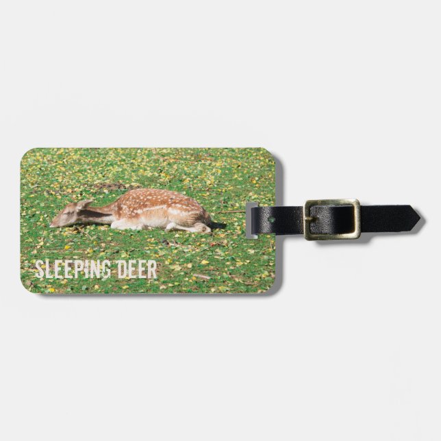 Schlafen Hirsch im Winterschlaf auf der Wiese im H Gepäckanhänger (Vorderseite horizontal)