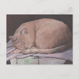 Schlafen Kitte Cat Art Postkarte