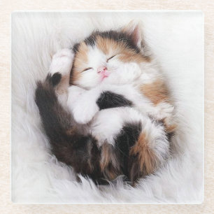 Schlafen Kitty Cat Untersetzer