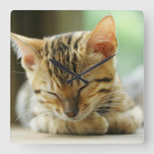 Schlafen Kleine Baby Kitty Quadratische Wanduhr