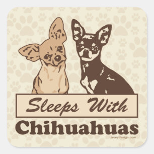 Schlafen mit Chihuahuuuas Quadratischer Aufkleber