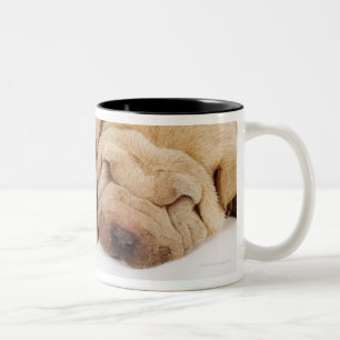 Schlafen mit zwei Shar Pei Welpen Zweifarbige Tasse