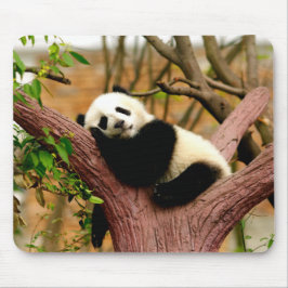 Schlafen Panda Baby Mouse Pad Mousepad