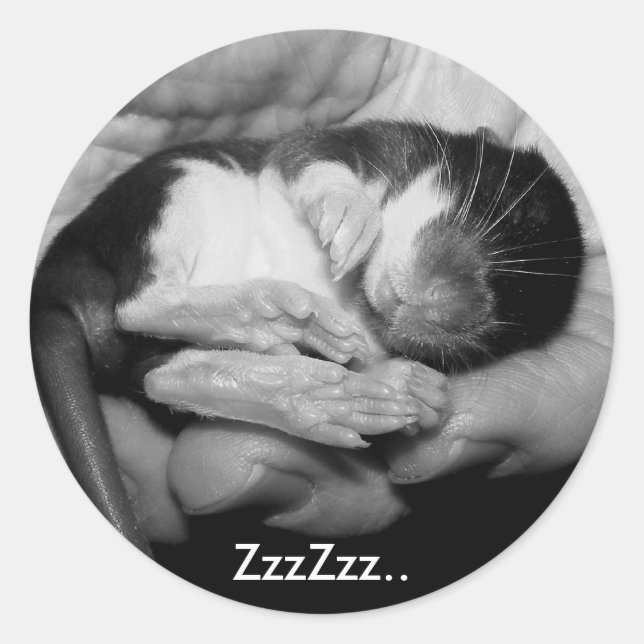 Schlafen Rattie Sticker (Vorderseite)