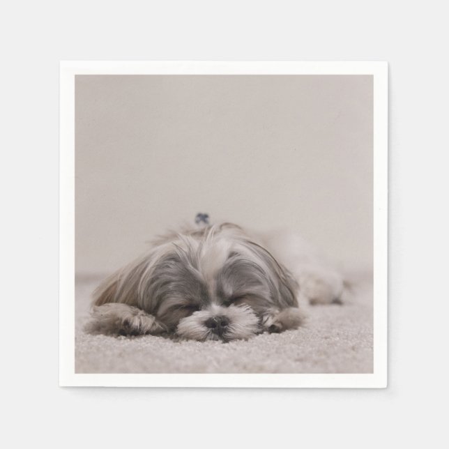 Schlafen Shih tzu Cocktail Napkins, Schlafhund Serviette (Vorderseite)