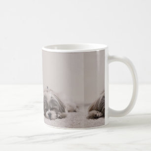 Schlafen Shih tzu Tasse, Schlafenhund Tasse