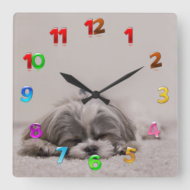 Schlafen Shih tzu Uhr, Schlafhund Quadratische Wanduhr (Vorderseite)