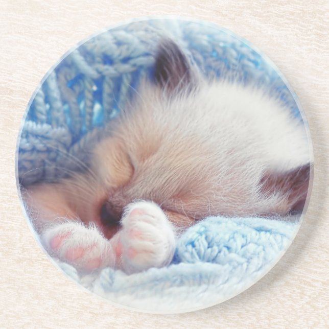 Schlafen Siamese Kitten Paws Getränkeuntersetzer (Vorne)