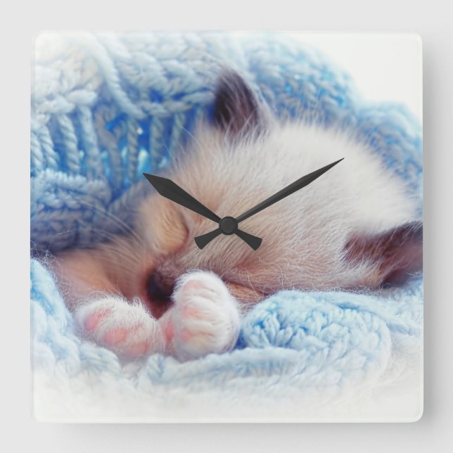 Schlafen Siamese Kitten Paws Quadratische Wanduhr (Vorderseite)