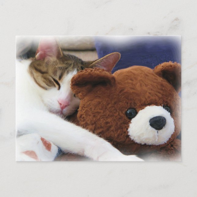 Schlafen Tabby Teddy Bear Postkarte (Vorderseite)