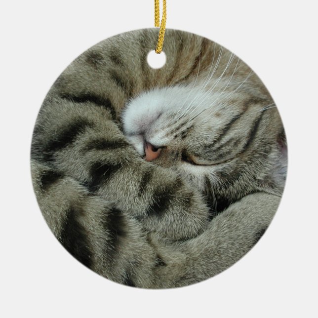 Schlafen Tiger-Cat Keramik Ornament (Vorne)