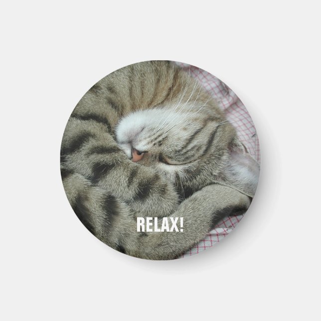 Schlafen Tiger-Cat Magnet (Vorne)