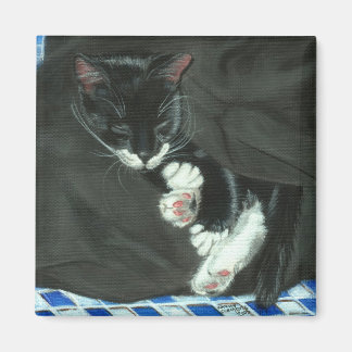 Schlafen Tuxedo Cat Magnet