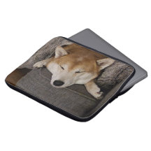 Schlafen von Shiba in ein Laptop-Case