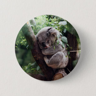Schlafenbaby-Koala Button