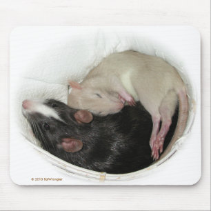 Schlafenbabyratte Mousepad