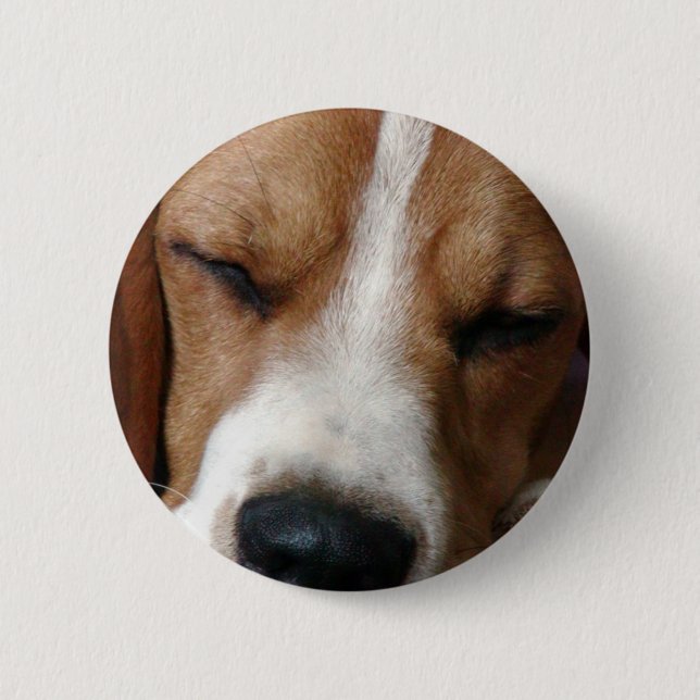 SchlafenBeagle-runder Knopf Button (Vorderseite)