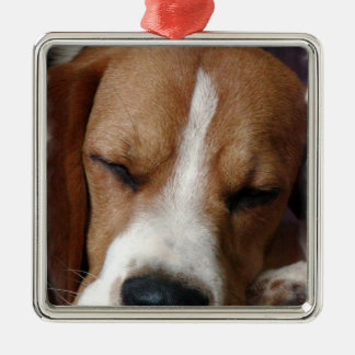 SchlafenBeagle-Verzierung Ornament Aus Metall