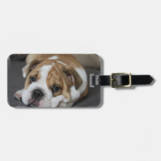 Schlafenbulldoggen-Gepäckanhänger Gepäckanhänger