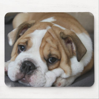 Schlafenbulldoggen-Mausunterlage Mousepad