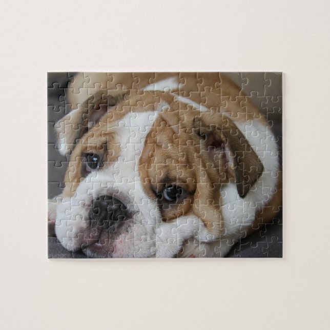 Schlafenbulldoggen-Puzzlespiel Puzzle (Horizontal)