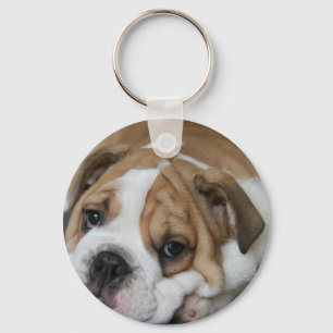 Schlafenbulldoggen-Schlüsselanhänger Schlüsselanhänger