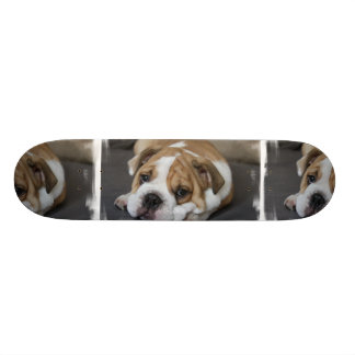 Schlafenbulldoggen-Skateboard Skateboard