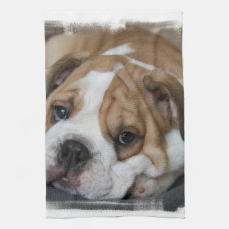 Schlafenbulldoggen-Tuch Handtuch
