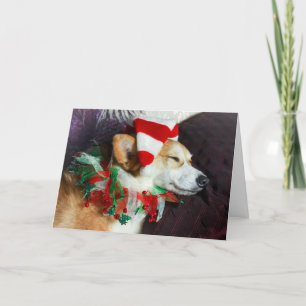Schlafende Corgi Elf Weihnachtskarte Karte