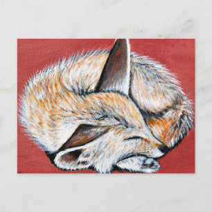 Schlafende Fennec Fox-Malerei Postkarte