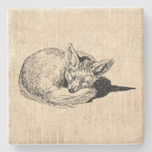 Schlafende Fohlen Illustrierte Kunst Niedliches Vi Steinuntersetzer