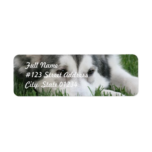 Schlafende Husky-Dog-Postleitzahl (Vorne)