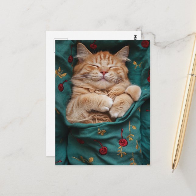 Schlafende Ingwerkatze Postkarte (Vorderseite/Rückseite Beispiel)