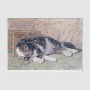 Schlafende Katze • Henriette Ronner-Knip (1821-190 Seidenpapier