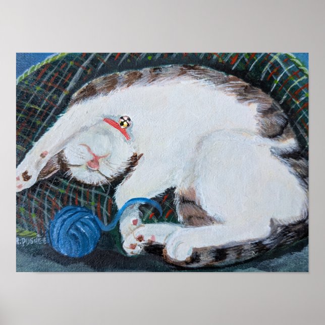 Schlafende Katze Poster (Vorne)
