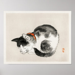 Schlafende Katze von Kōno Bairei (1844-1895) Poster