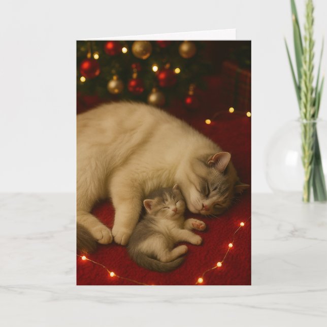 Schlafende Katzen Weihnachten Gefalteter Gruß Karte (Vorderseite)