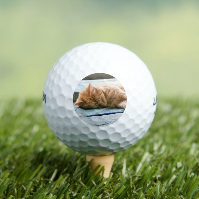 Schlafende Langeginger-Katze Golfball (Insitu T-Shirt)