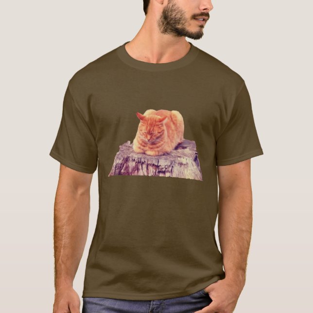 Schlafende Orange Tabby Cat T-Shirt (Vorderseite)