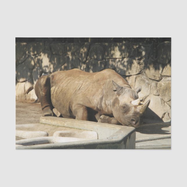 Schlafende Rhino Seidenpapier (Vorderseite)
