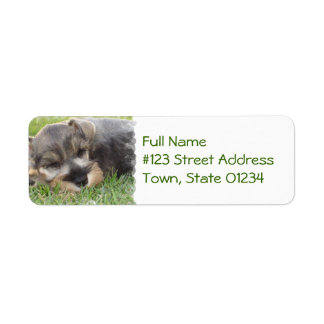 Schlafende Schnauzer-Hunde-Mailing-Etikett