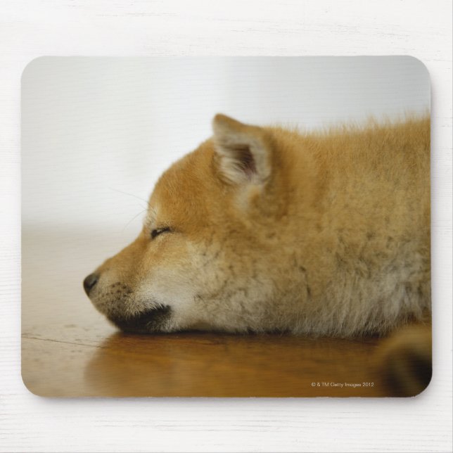 Schlafende Shiba-ken 3 Mousepad (Vorne)