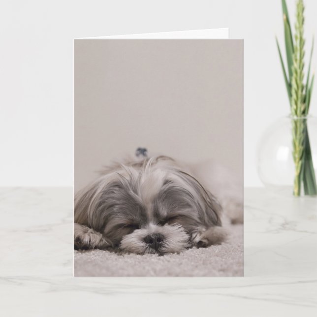 Schlafende Shih tzu Grußkarte, schlafender Hund Karte (Vorderseite)