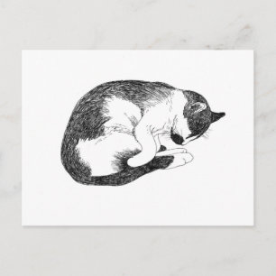 Schlafende Smoking-Katze Minimalistische Zeichnung Postkarte