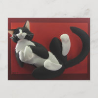 Schlafende Tuxedo Katze Postkarte