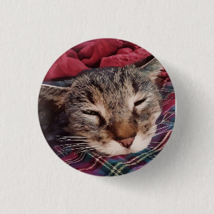 Schlafende Weihnachtskatze Tabby Karo Flanell rot Button