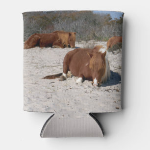 Schlafende wilde Ponys im Assateague National Park Dosenkühler