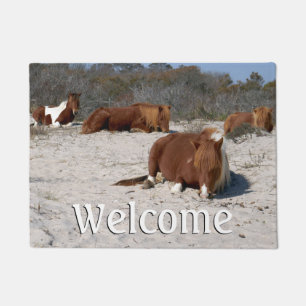 Schlafende wilde Ponys im Assateague National Park Fußmatte