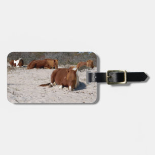 Schlafende wilde Ponys im Assateague National Park Gepäckanhänger