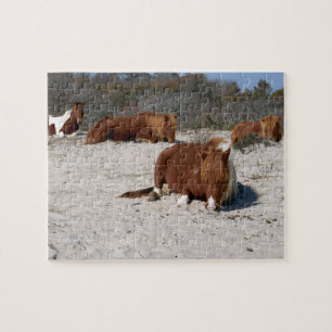 Schlafende wilde Ponys im Assateague National Park Puzzle